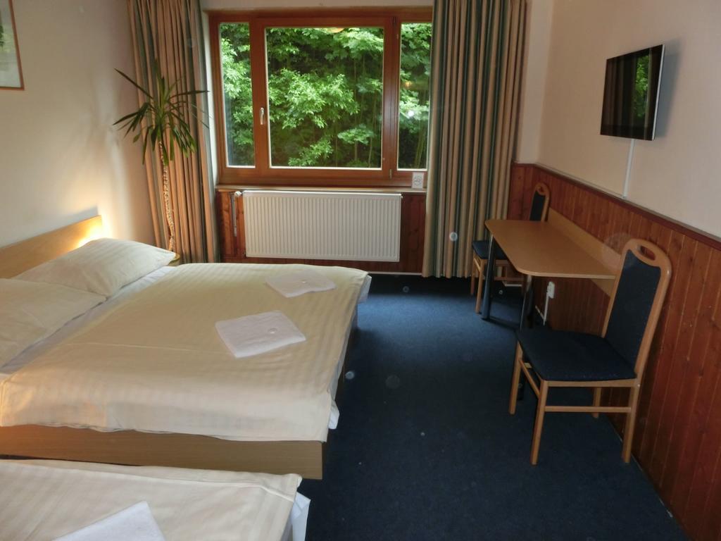 Parkhotel Harrachov Phòng bức ảnh